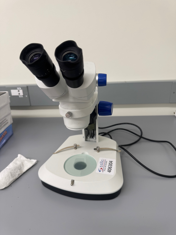 Image of Stereo Microscope